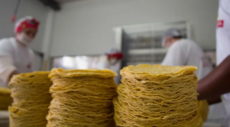 precio agosto 2022 kilo de tortilla