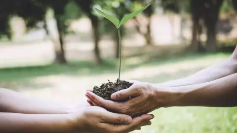 Día Mundial del Medio Ambiente