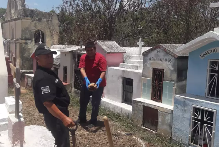 Aparece presunta brujería en panteón de Tecoh (FOTOS)