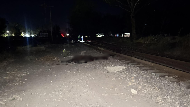Caballo en las vías del tren