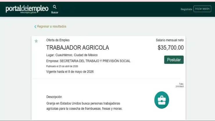 Trabajadores-agrícolas-en-EU