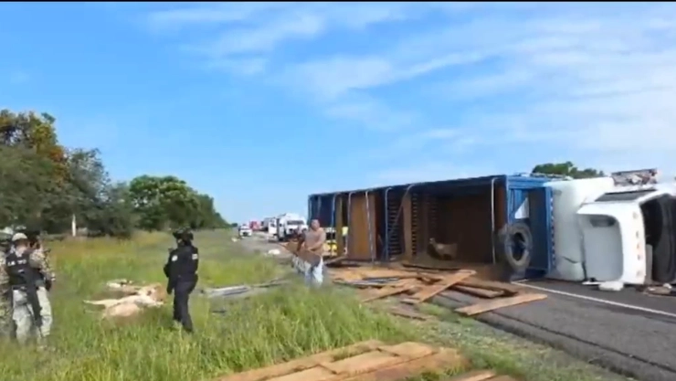 Tráiler con borregos vuelca en Guanajuato