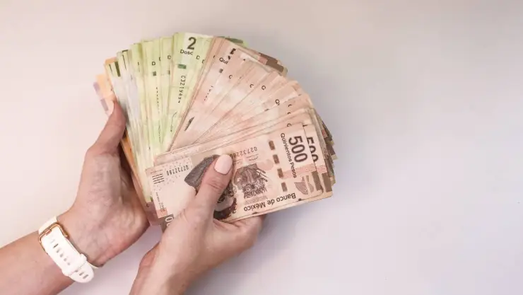 Paso a paso Ritual para atraer dinero y trabajo; toma nota