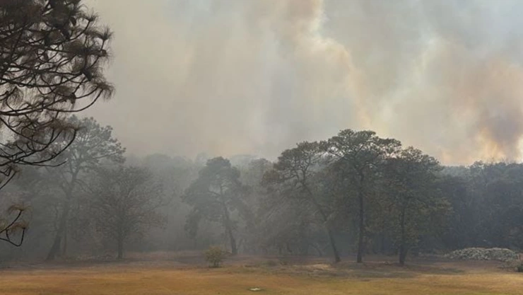 Incendios y alertas atmosféricas en Jalisco.jpeg