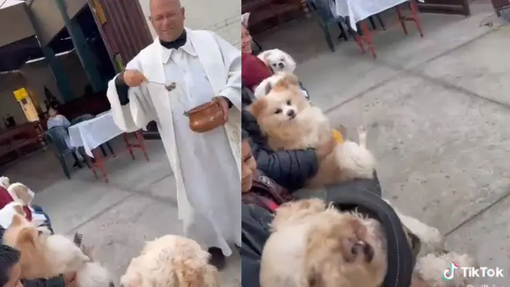 VIDEO: Perro sufre exorcismo en plena misa; le pusieron agua bendita