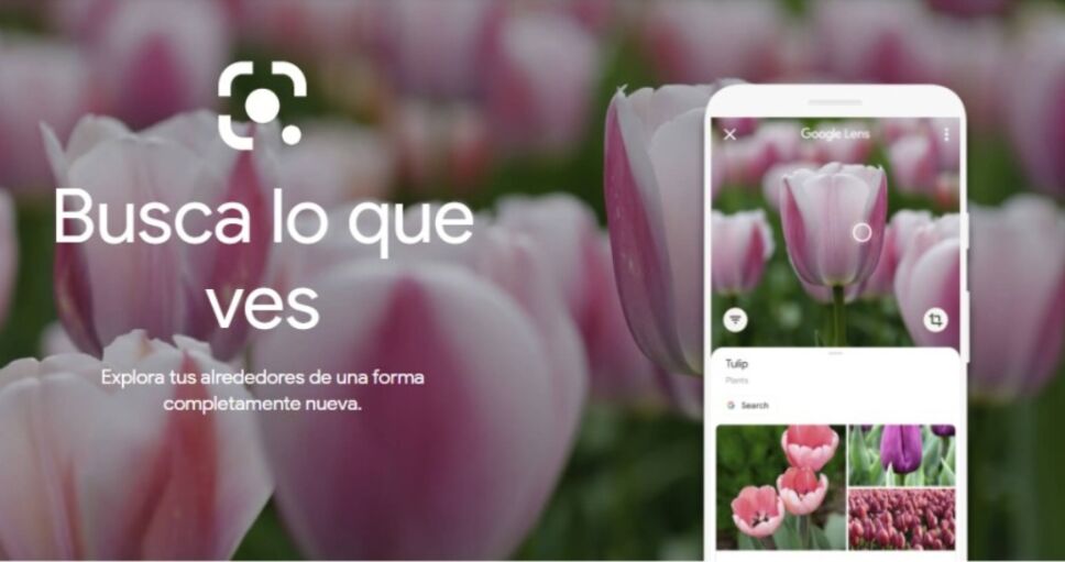 google lens fotos buscar