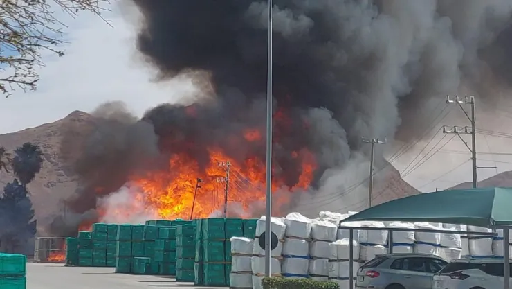 Incendio Interceramic