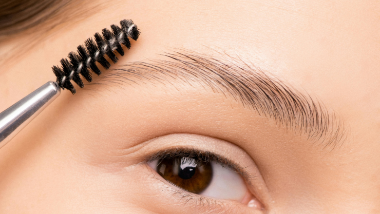 cejas (1).png