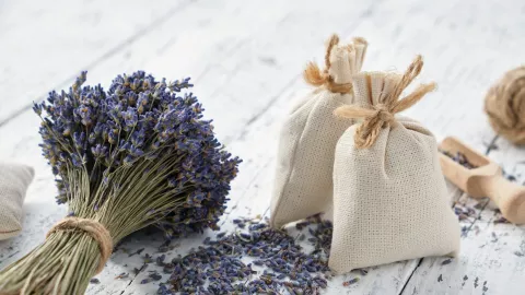 olor ropa cl&oacute;set