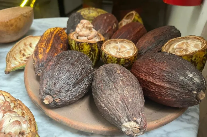 chocolate-en-México-como-ha-crecido-la-industria