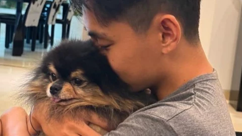 Yeontan perro de V de BTS