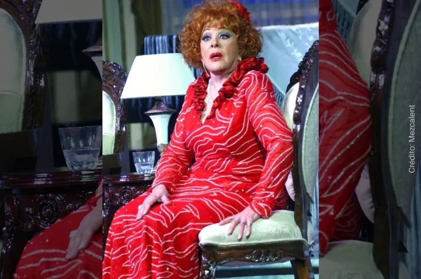 Silvia Pinal Sentada.jpg
