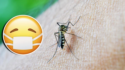 Dengue en México_ 27 Estados afectados y más de 4,900 contagios en lo que va de 2025.jpg