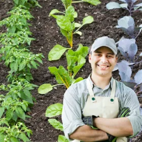 Estos son los vegetales que debes sembrar en octubre para que crezcan en otoño