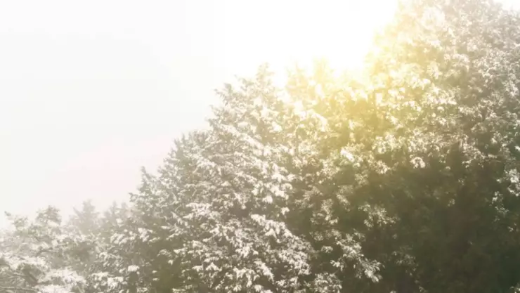 Solsticio de invierno 2024_ 21 de diciembre, el día más corto del año.jpg