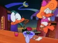 tiny-toons-origen