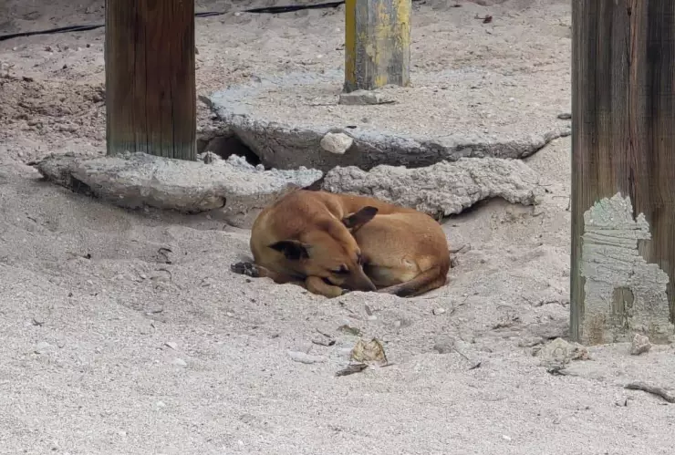 PORTADA playas yucatán heladez lomitos.jpg