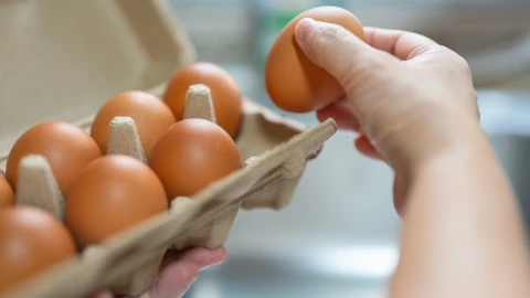 Este es el precio del huevo en CDMX, Edomex, Querétaro y Puebla en la segunda semana de abril 2023.