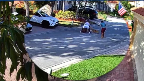 Ataque de Pitbull en Florida.