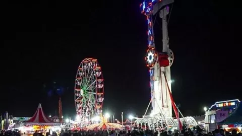 Verbena de Culiacán