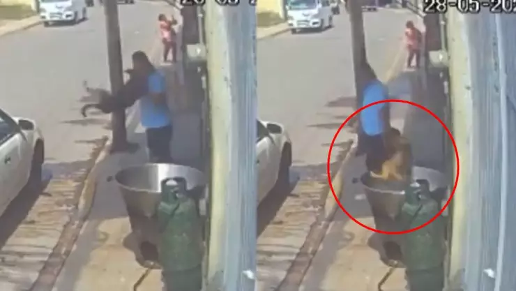VIDEO: Hombre lanzó a un perro a una cazuela con aceite hirviendo