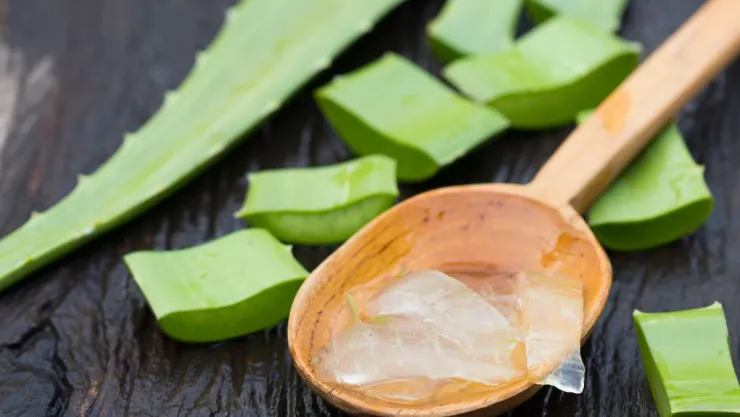 Así puedes preparar la sábila para eliminar la energía negativa