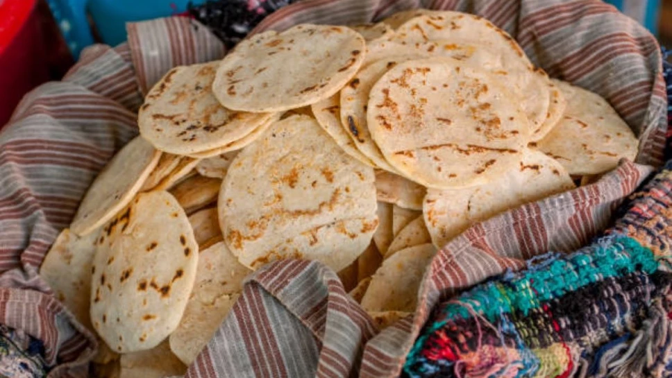 Este debe ser el precio del kilo de tortilla en tu estado