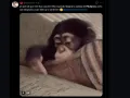 La salida de Plutarco ha dejado a muchos impactados, pues aunque el actor tiene un carácter fuerte y una personalidad sin filtros, eso mismo fue lo que terminó convenciendo a los fanáticos del programa de la veracidad del participante.