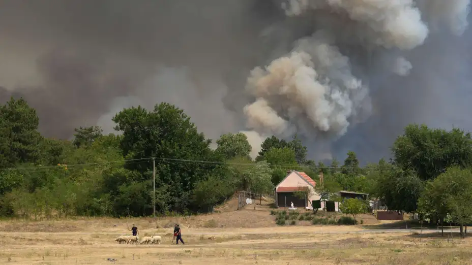 Incendios forestales cerca de Sumarak, Serbia.