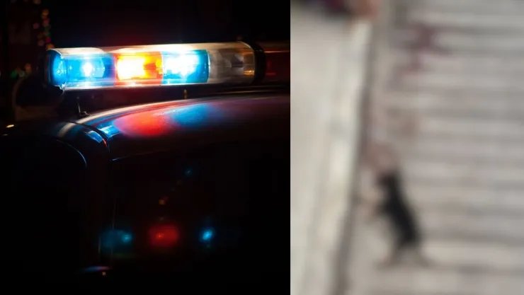 Vecinos de Xalapa exigieron justicia tras la muerte de un perro