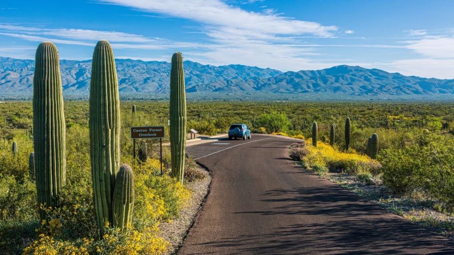 Un pequeño camino pavimentado dentro de un parque, a sus costados cactus y vegetación pequeña y de fondo las montañas