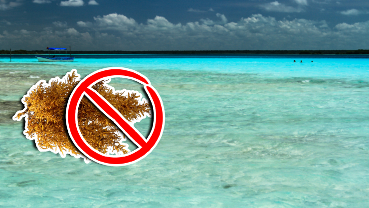 Conoce las playas libres de sargazo en Tulum, Carrillo Puerto, Bacalar, Mahahual y Chetumal HOY 30 de septiembre de 2025.jpg