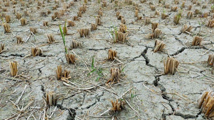 Conagua alerta por 5 estados que tienen sequía excepcional en México