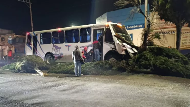 VIDEO: Camión sufrió choque y derribó árboles sobre el bulevar Xonacatepec hoy ¿Dejó heridos?
