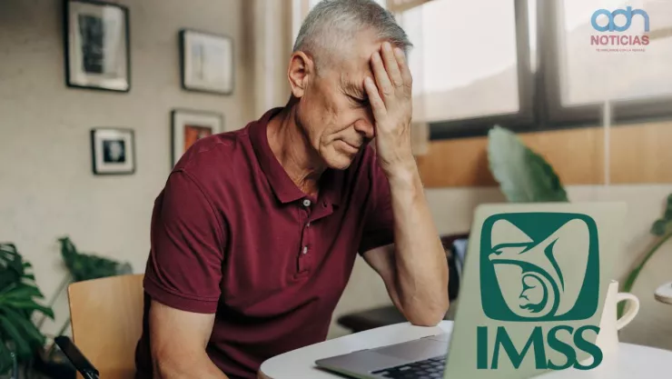 Datos biométricos pensión imss 2025