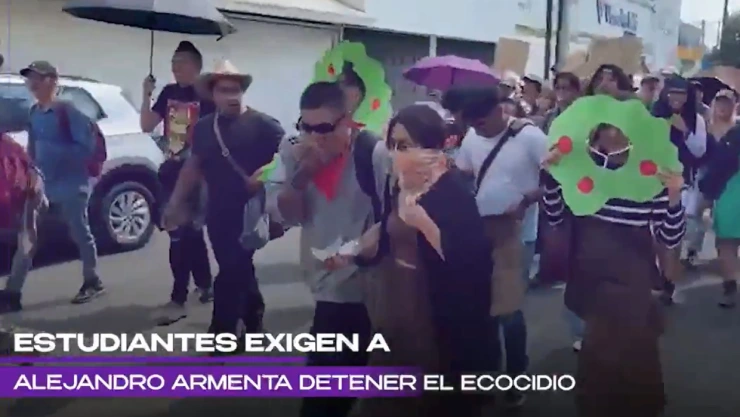 manifestación tala árboles
