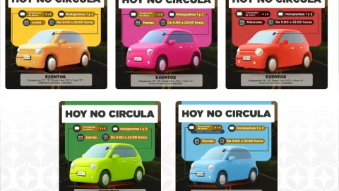 Calendario del Nuevo Hoy No Circula Edomex.