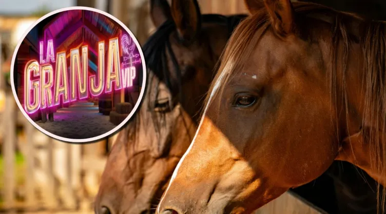Cuánto vive un caballo y otras curiosidades de este animal icónico de La Granja VIP.