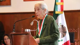 LA DAMA DEL CABELLO BLANCO