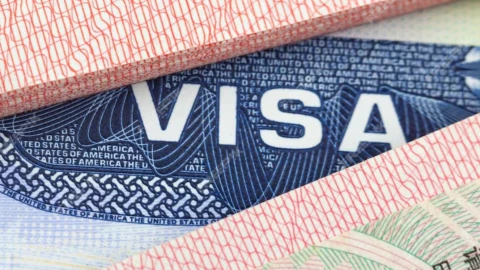 visa