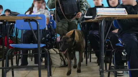 Operativos mochila en COBACH La Mesa y la Secundaria Técnica No. 61 en Tijuana ¿Qué decomisaron este 2025?