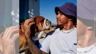 Lewis Hamilton (12).jpg