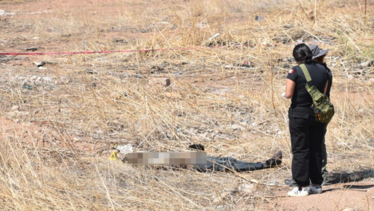 Hallan cadáver en baldío en la colonia Sierra Azul
