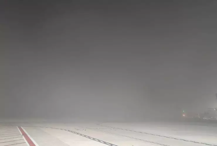 Neblina en Tijuana afecta vuelos hoy: aeropuerto emite aviso y pide consultar aerolíneas