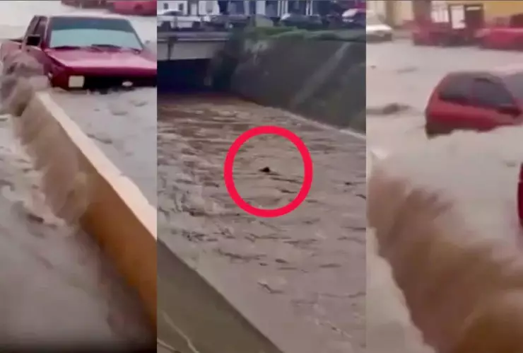 hombre-autos-arrastrados-inundaciones-hidalgo-zimapán-tulancingo-video