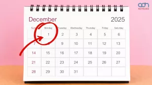  ¿El 1 de diciembre es feriado? 