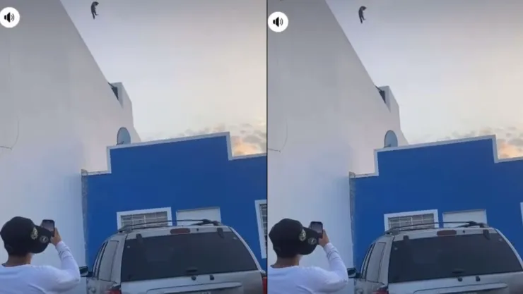Trabajadores de Hot Dogs en Mazatlán maltratan a gato.