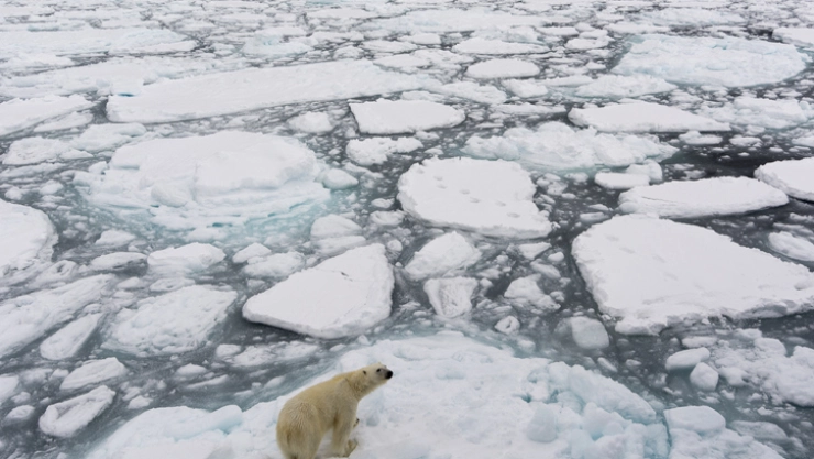 El cambio climático ataca el Ártico: se derrite cuatro veces más rápido