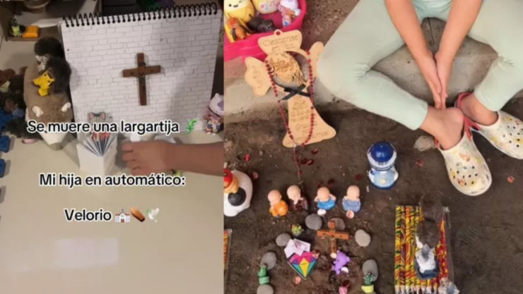 Niña hace velorio a lagartija.