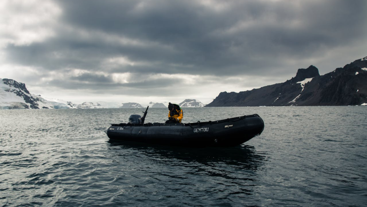 Descubren nueva especie de pez dragón en la Antártida: ¿Un aviso sobre el cambio climático?